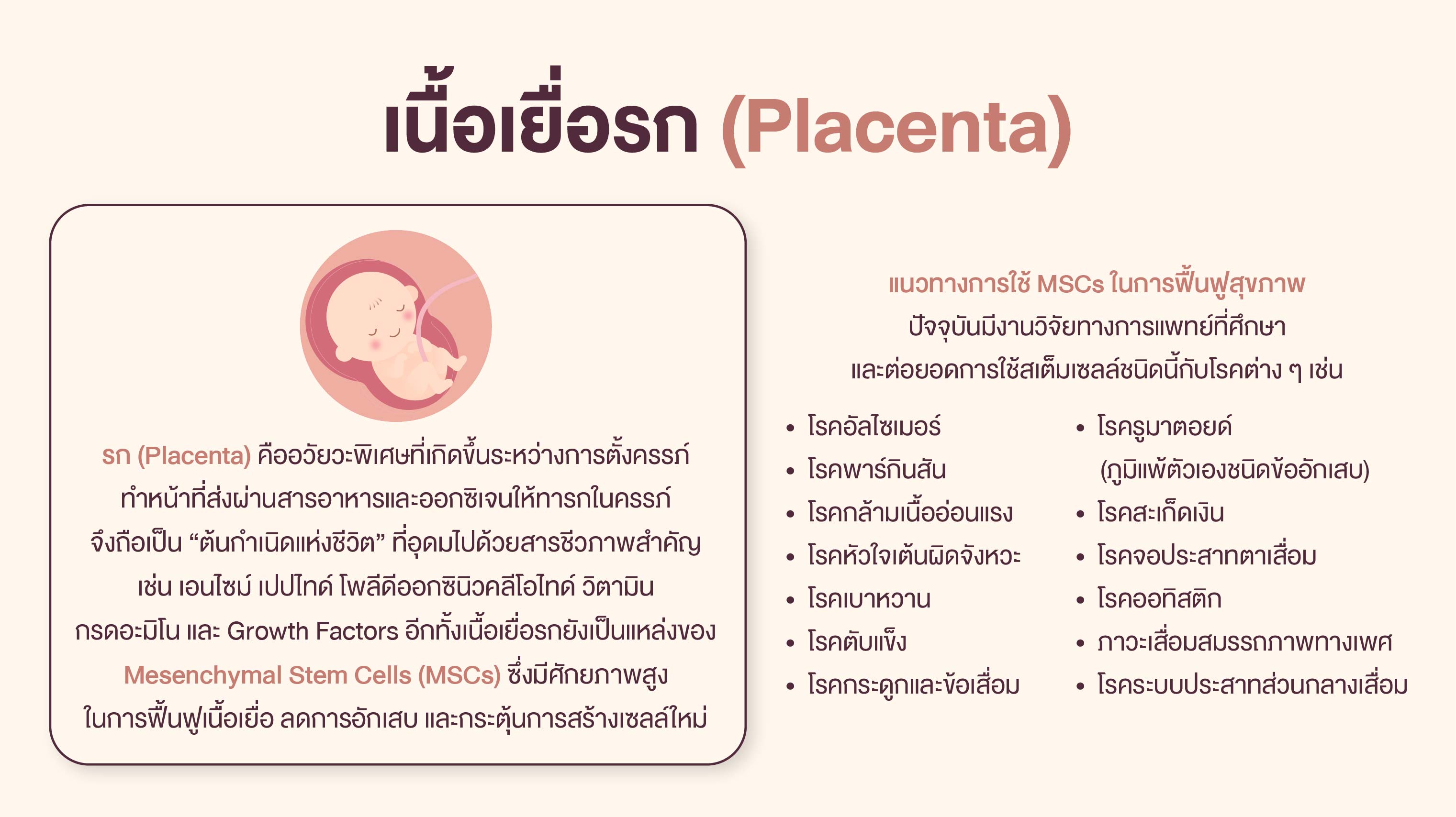 Placenta