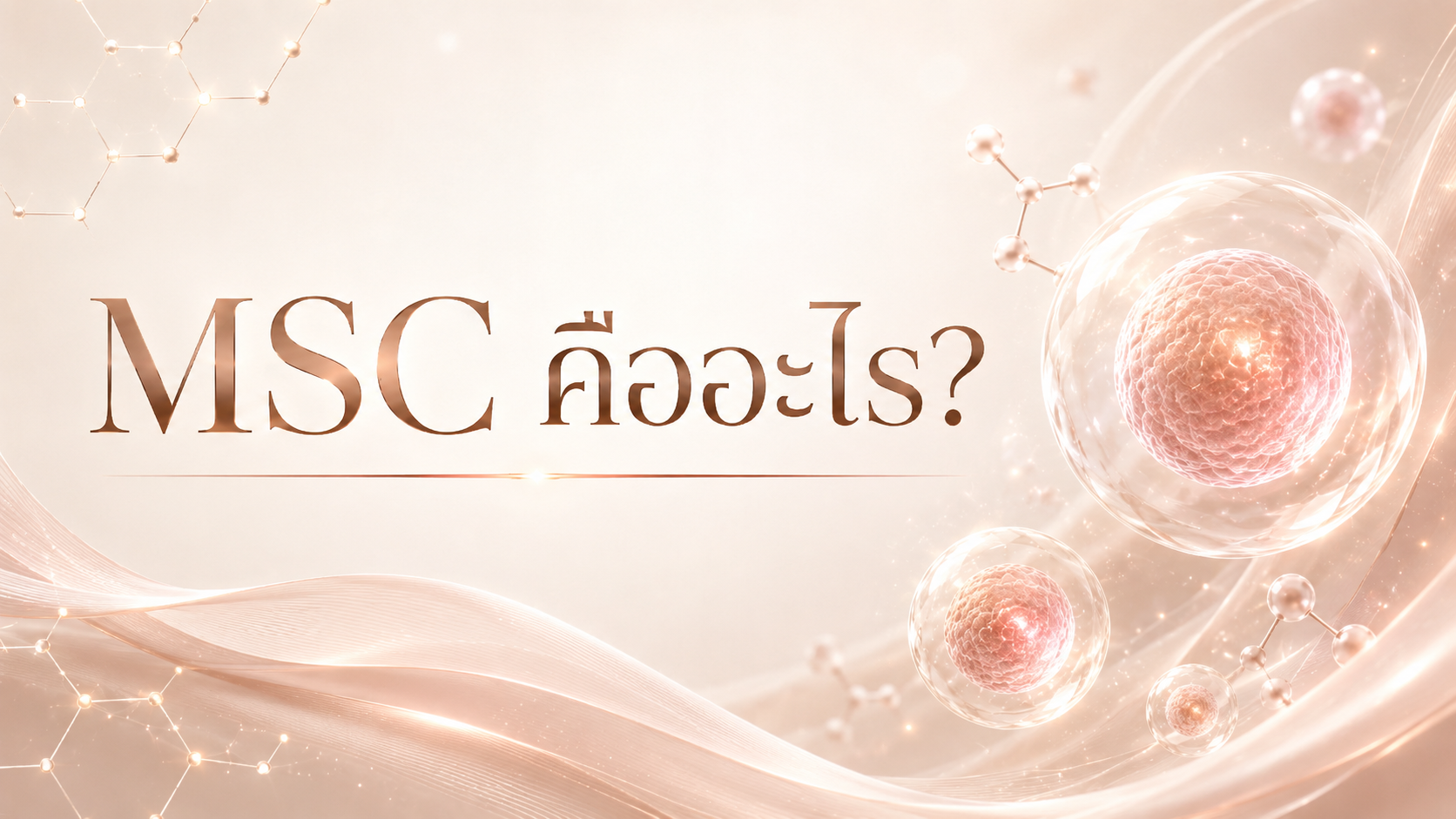 MSC คืออะไร?