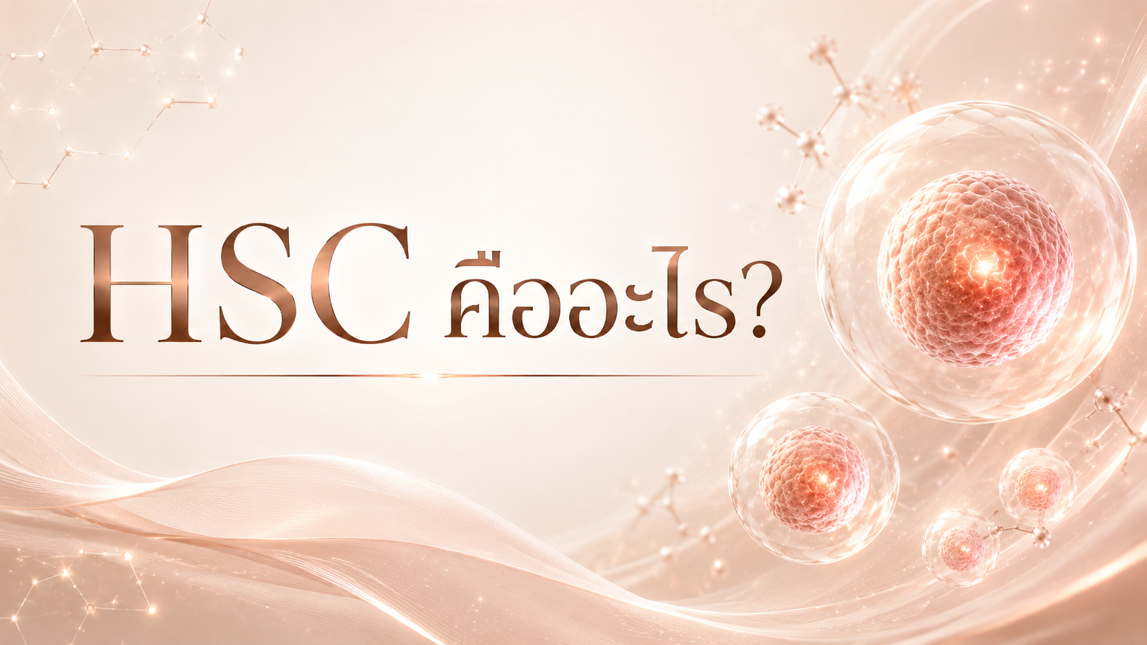 HSC คืออะไร?
