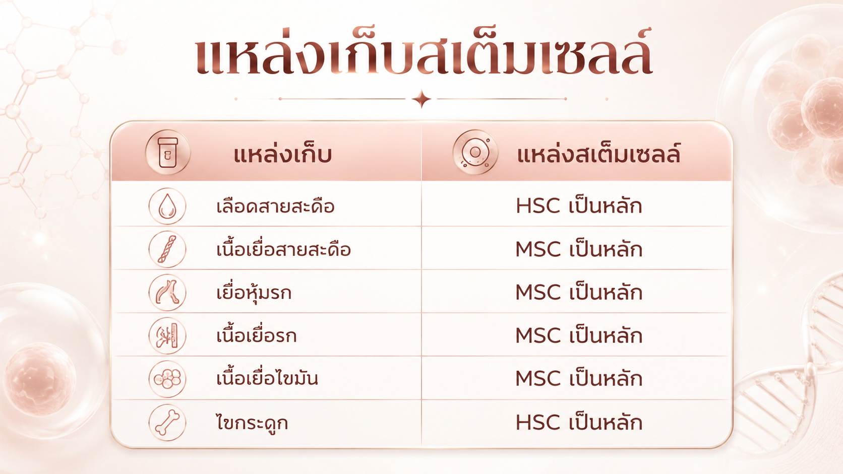 แหล่งเก็บสเต็มเซลล์