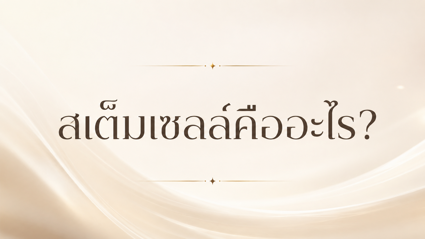 สเต็มเซลล์คืออะไร