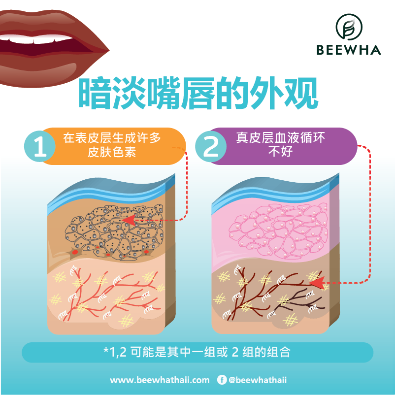 暗淡嘴唇的外观_Beewha 暗淡嘴唇的外观_Beewha