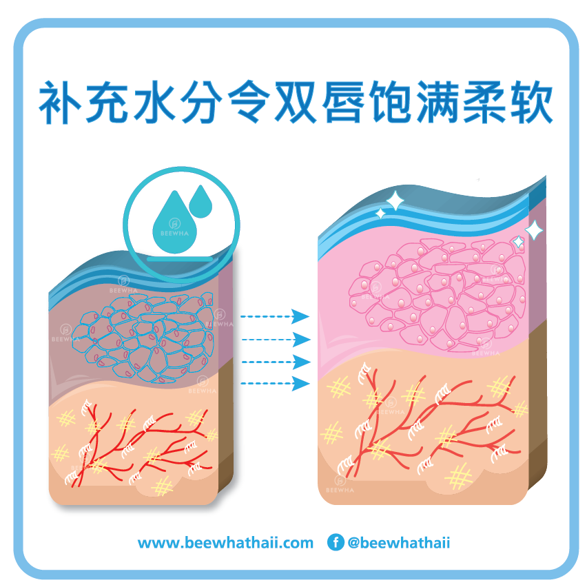 补充水分令双唇饱满柔软_Beewha