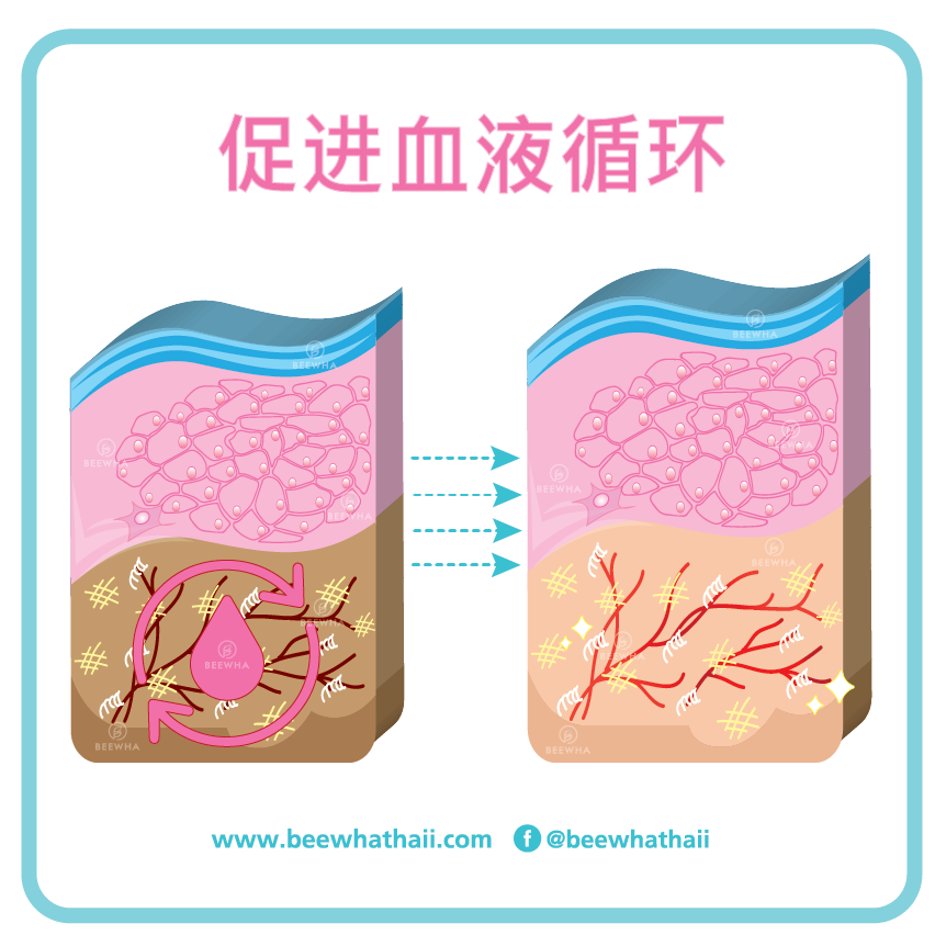 促进血液循环_Beewha