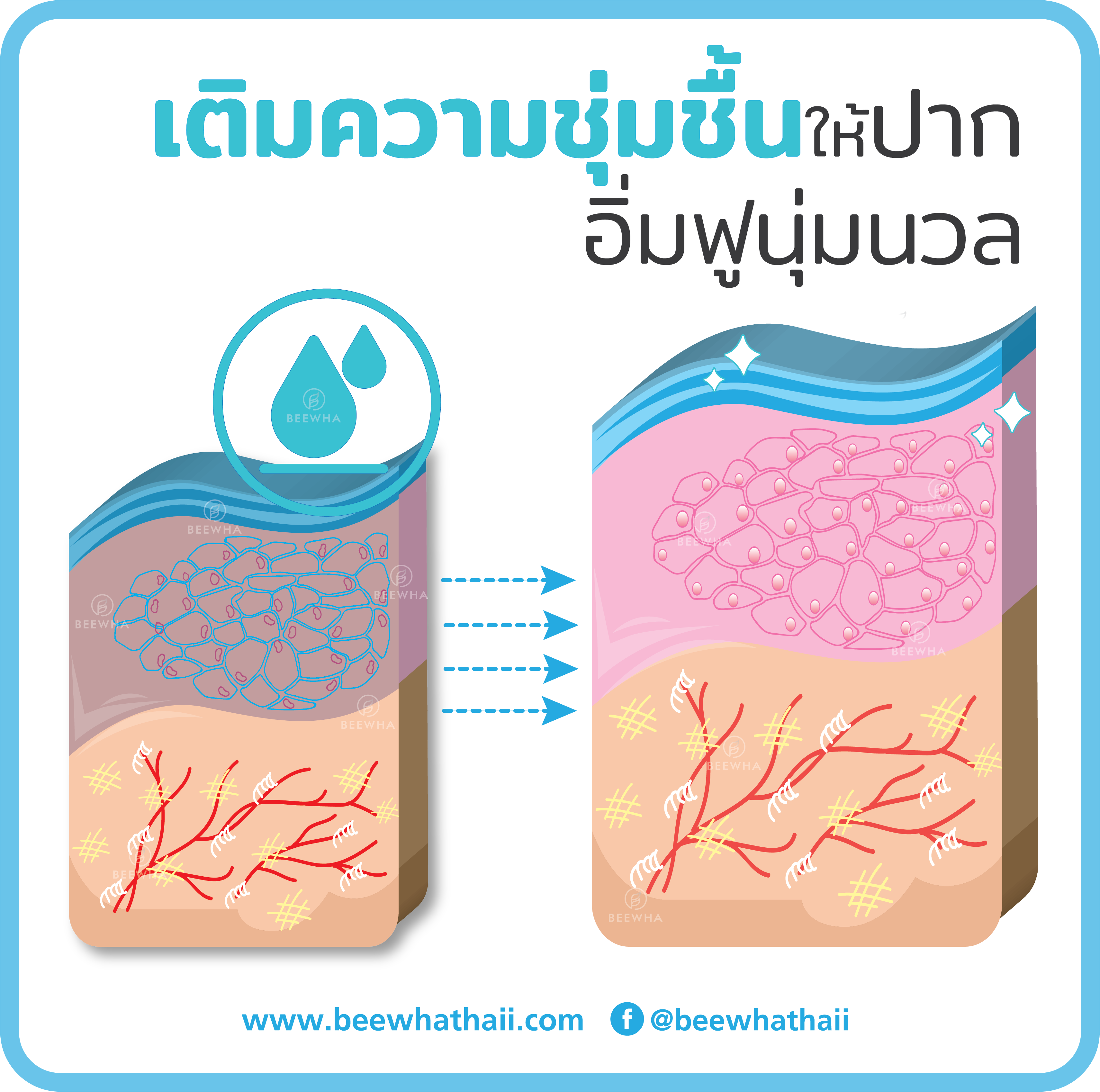 เติมความชุ่มชื้น_ฺBeewha