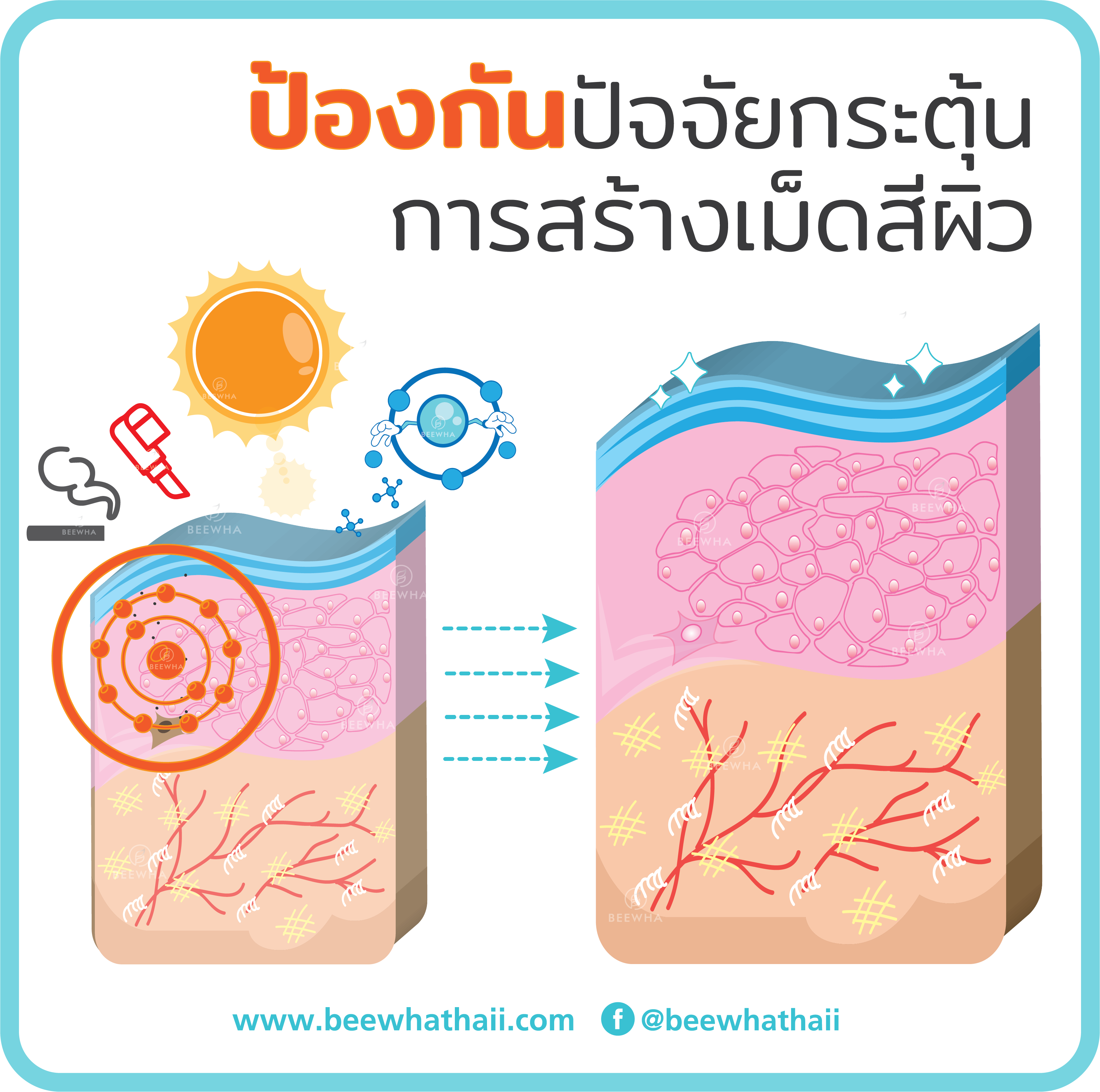 ป้องกันปัจจัยสร้างเม็ดสีผิว