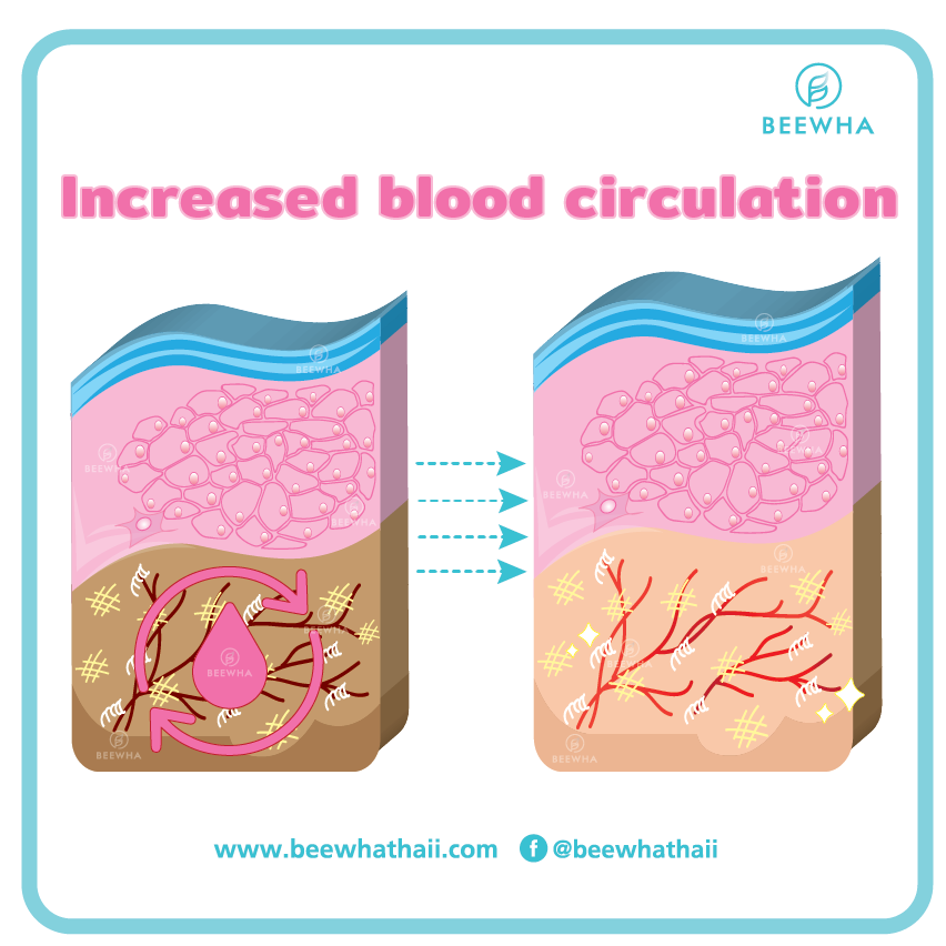 increased blood circulation_Beewha