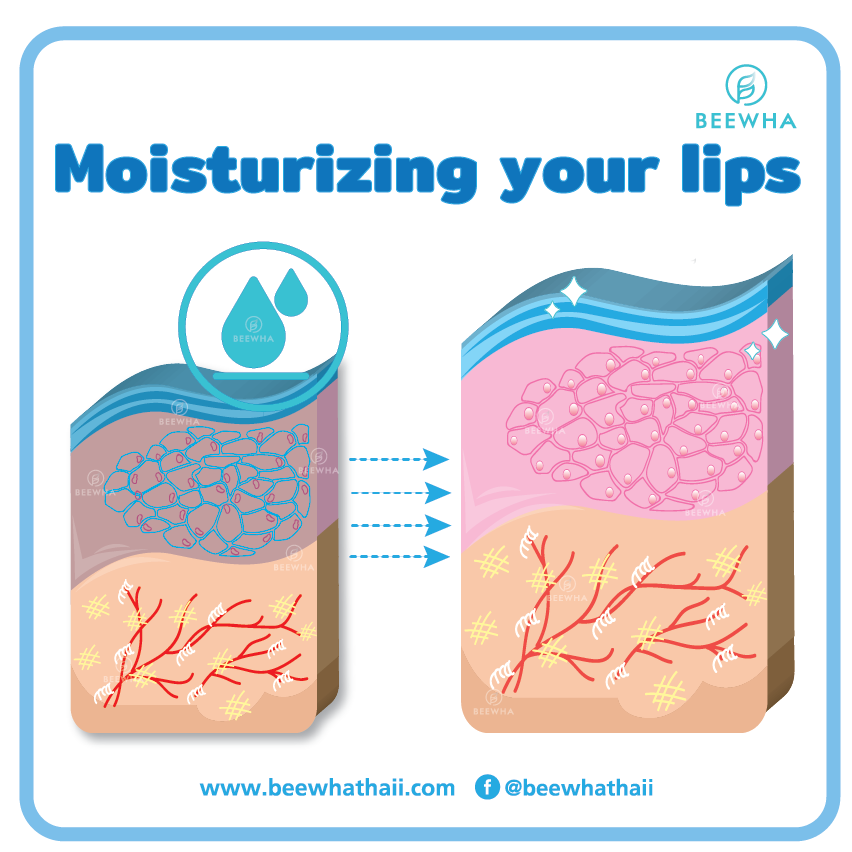 Moisturizing your lips_Beewha