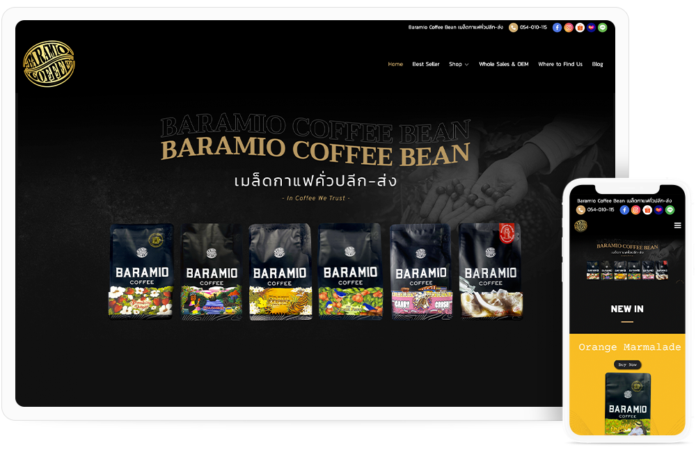 ทำเว็บไซต์จำหน่าย กาแฟคั่ว Baramio Coffee Bean baramiocoffee.com
