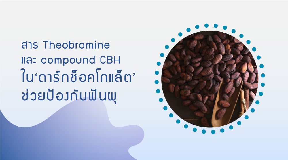 สาร Theobromine และ compound CBH ในดาร์กช็อคโกแล็ต ช่วยป้องกันฟันผุและลดอาการของโรคเหงือก/ โรคปริทันต์