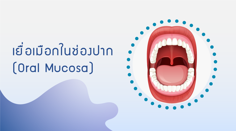 เยื่อเมือกช่องปาก สุขภาพช่องปากและฟัน
