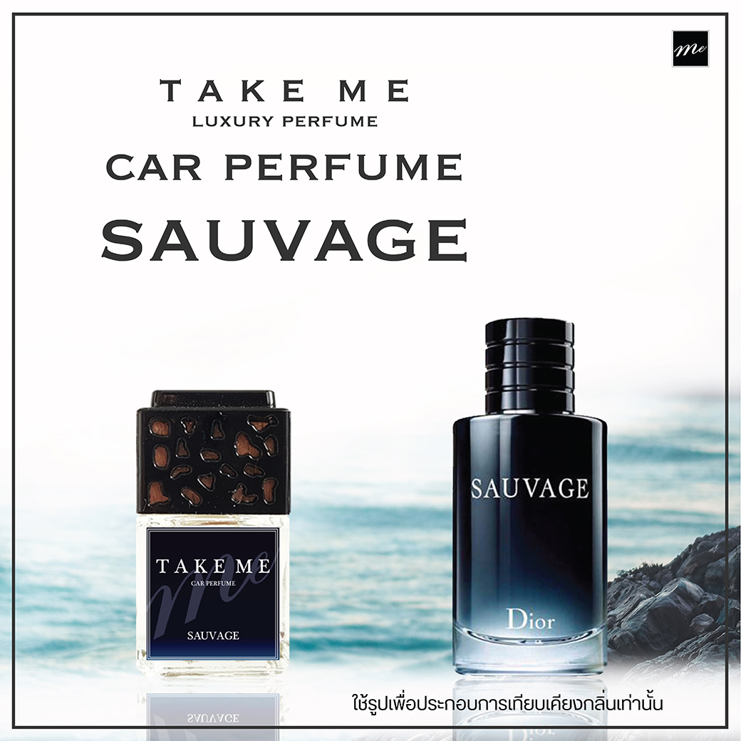 dior sauvage car perfume