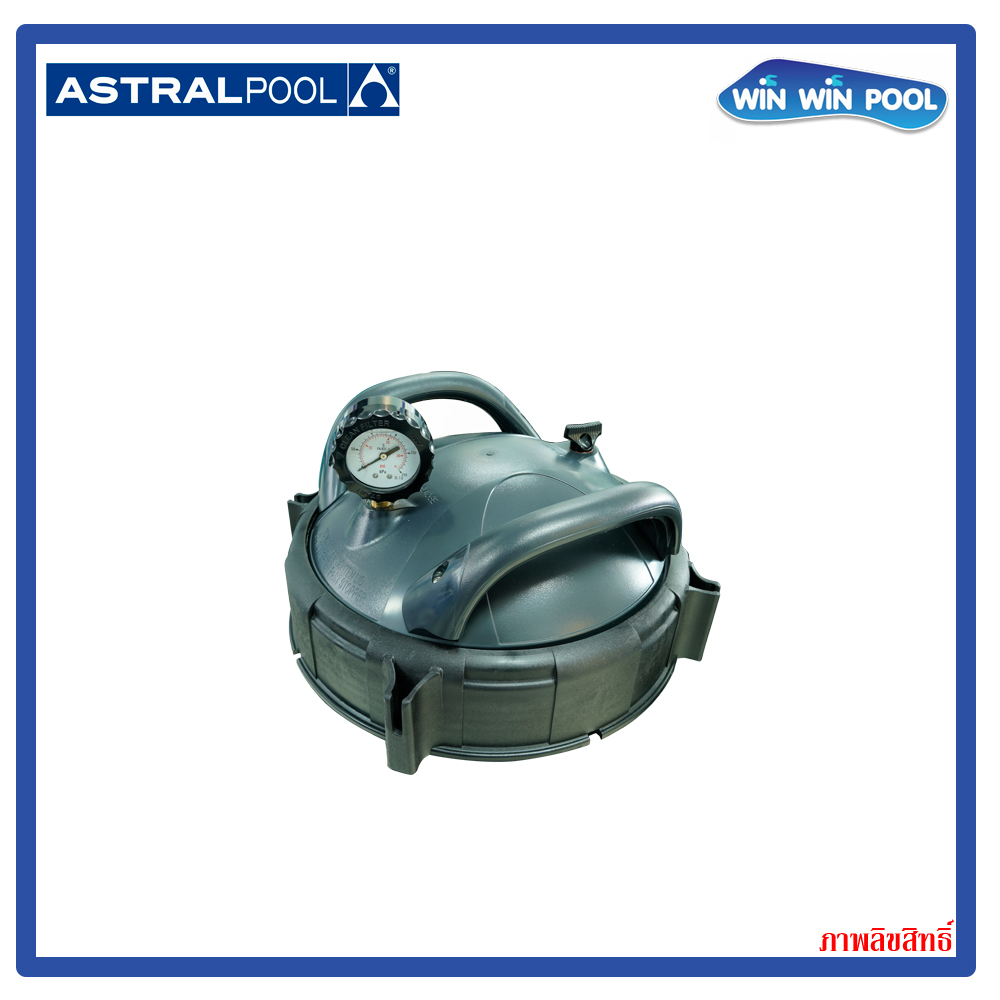 ZX 250 Cartridge Filter, flow 30.9 m3/h