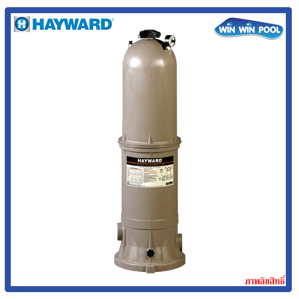 C12002 Hayward Cartridge Filter