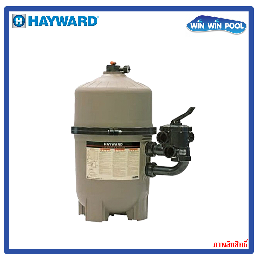 Hayward DE3620 Progrid vertical D.E Filter