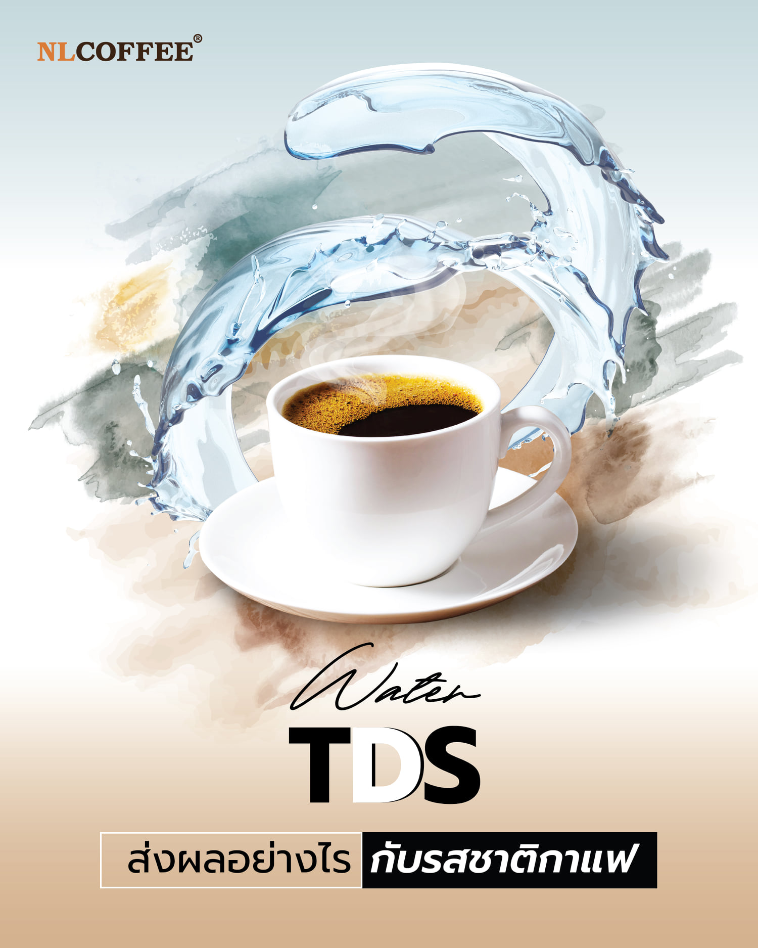 ค่า Water TDS ส่งผลอย่างไรกับรสชาติของกาแฟ?