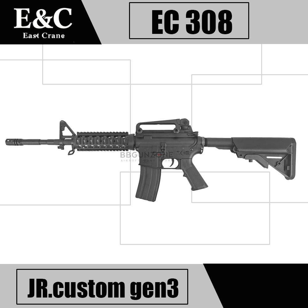 E&C 308 S2 M4 RIS Gen2