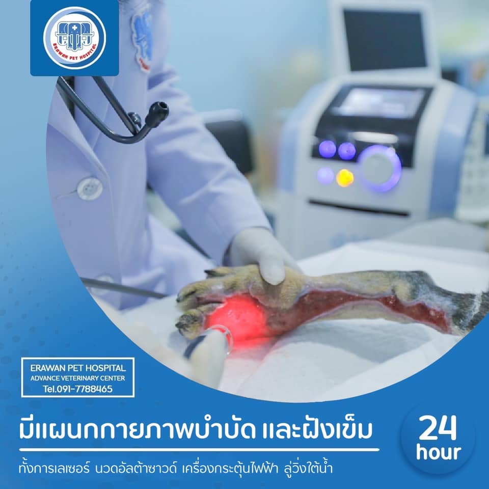 ศูนย์กายภาพบำบัดและฝังเข็มโรงพยาบาลเอราวัณ ศูนย์กายภาพบำบัดและฝังเข็มโรงพยาบาลเอราวัณ