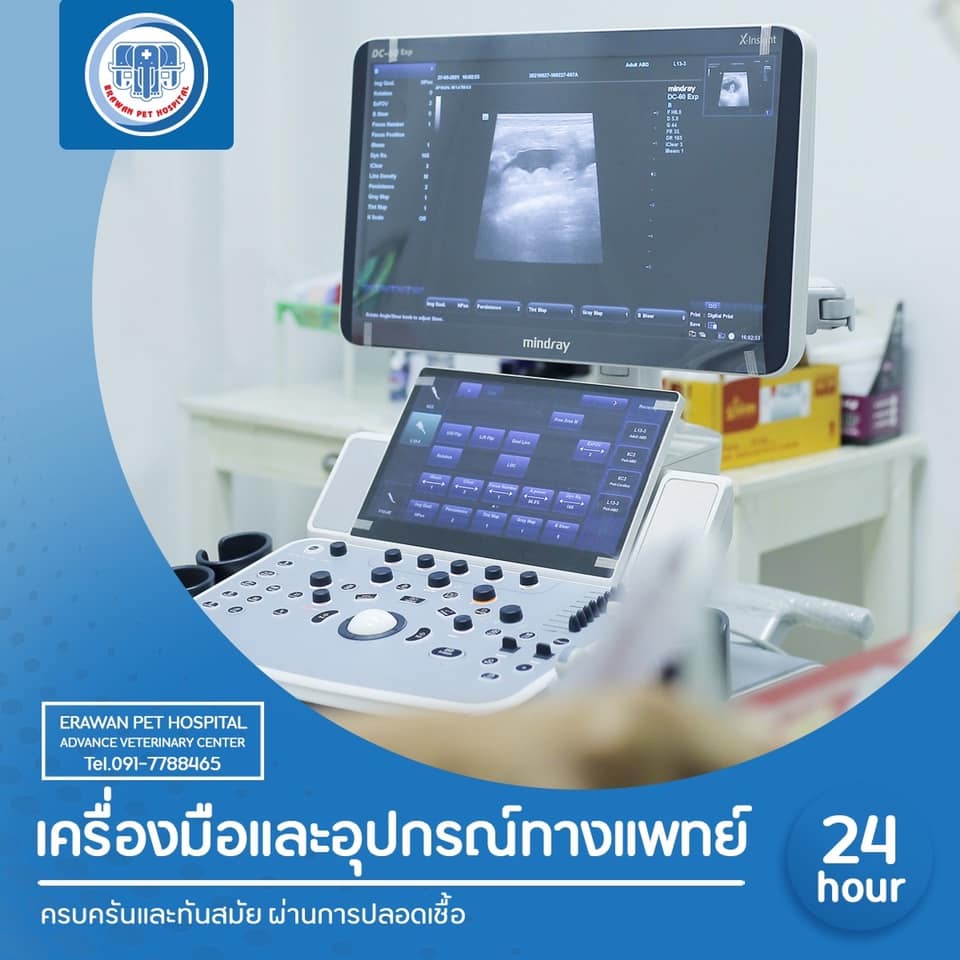 ศูนย์โรคระบบทางเดินหายใจและทรวงอก ศูนย์โรคระบบทางเดินหายใจและทรวงอก