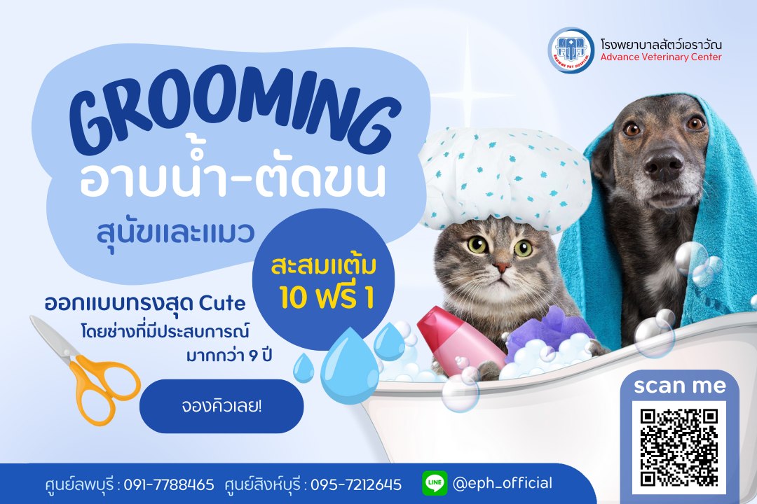 บริการอาบน้ำ-ตัดแต่งทรงขนโรงพยาบาลสัตว์เอราวัณ บริการอาบน้ำ-ตัดแต่งทรงขนโรงพยาบาลสัตว์เอราวัณ