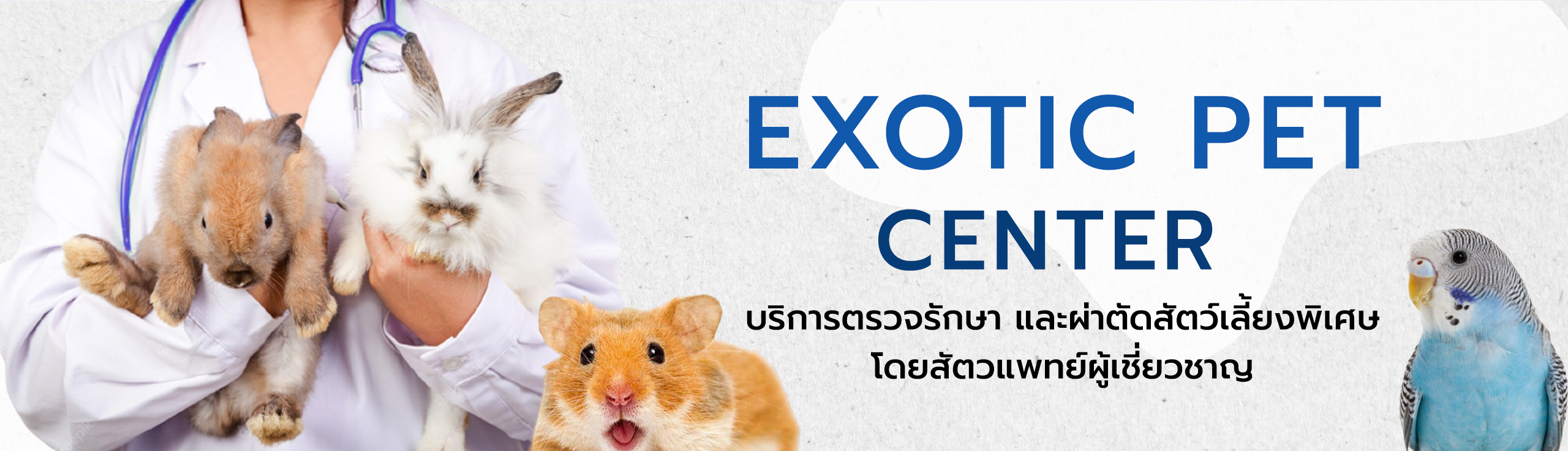 คลินิกรักษาสัตว์เลี้ยงพิเศษ การดูแลสุขภาพที่เหนือกว่า คลินิกรักษาสัตว์เลี้ยงพิเศษ การดูแลสุขภาพที่เหนือกว่า