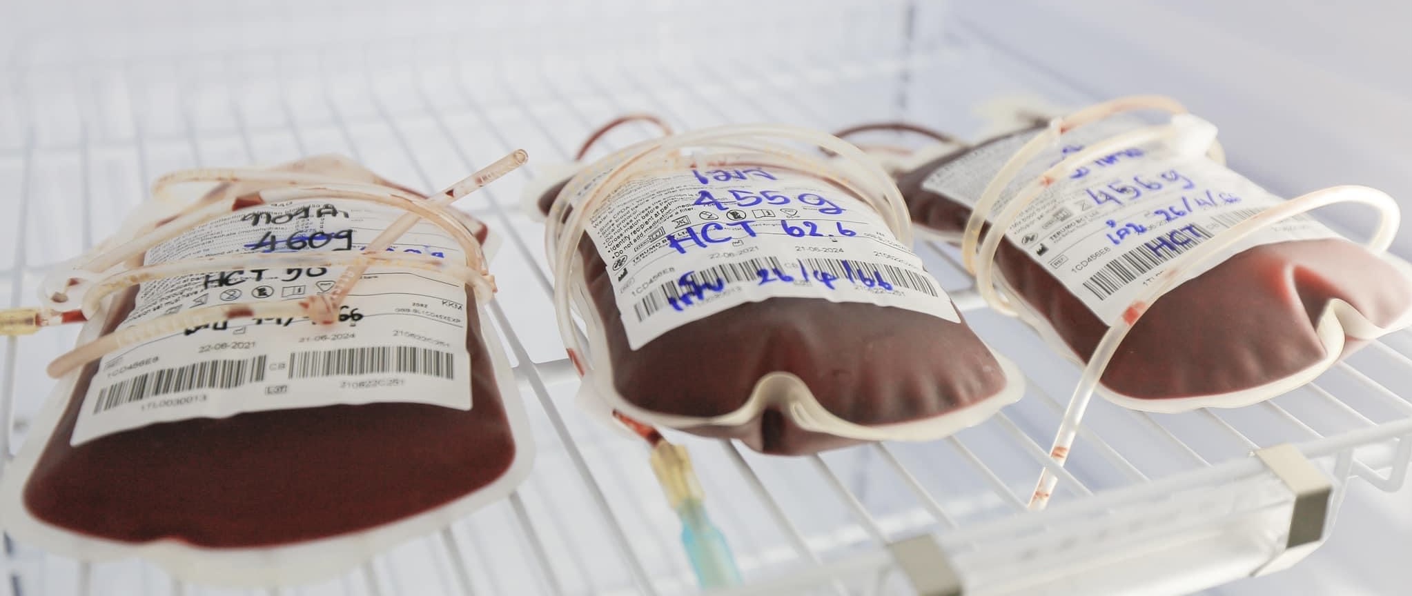 ศูนย์บริการเปลี่ยนถ่ายโลหิตสำหรับสัตว์เลี้ยง ศูนย์บริการเปลี่ยนถ่ายโลหิตสำหรับสัตว์เลี้ยง