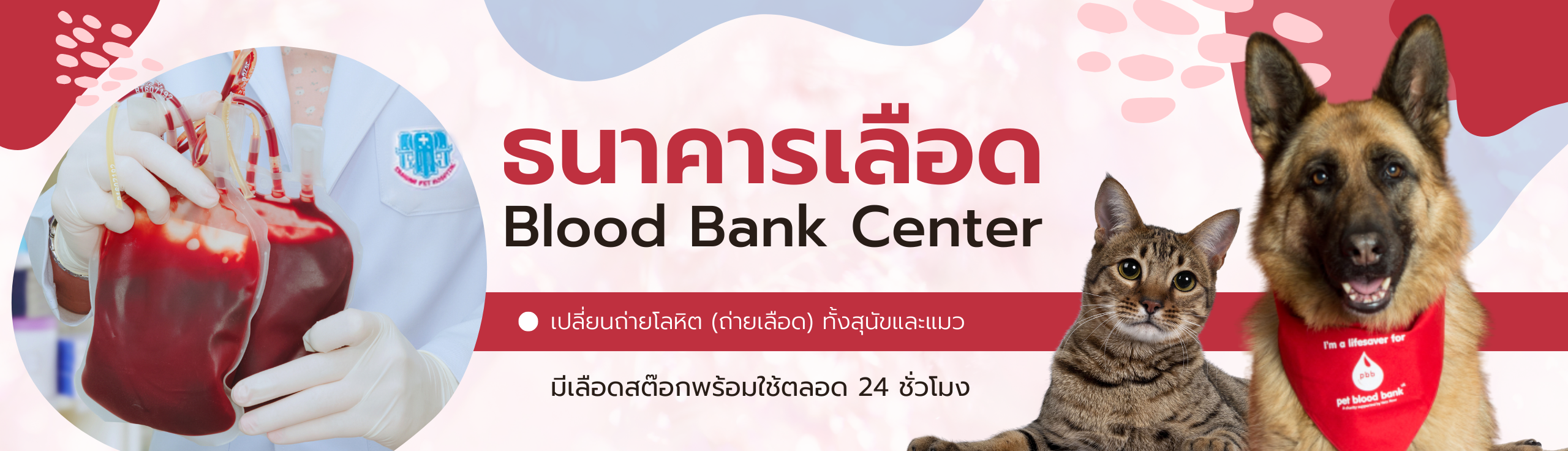 ศูนย์บริการเปลี่ยนถ่ายโลหิตสำหรับสัตว์เลี้ยง ศูนย์บริการเปลี่ยนถ่ายโลหิตสำหรับสัตว์เลี้ยง