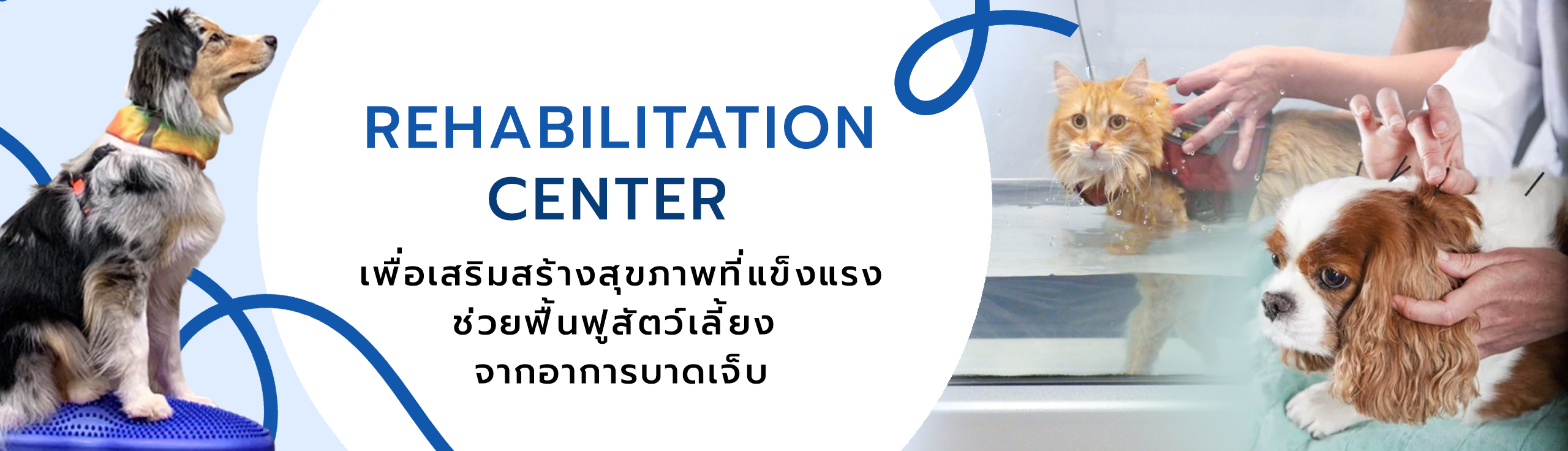 ศูนย์กายภาพบำบัดและฝังเข็มโรงพยาบาลเอราวัณ ศูนย์กายภาพบำบัดและฝังเข็มโรงพยาบาลเอราวัณ