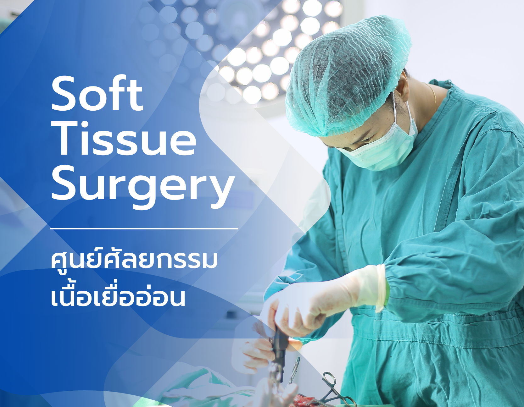 ศูนย์ศัลยกรรมเนื้อเยื่ออ่อนโรงพยาบาลสัตว์เอราวัณ ศูนย์ศัลยกรรมเนื้อเยื่ออ่อนโรงพยาบาลสัตว์เอราวัณ