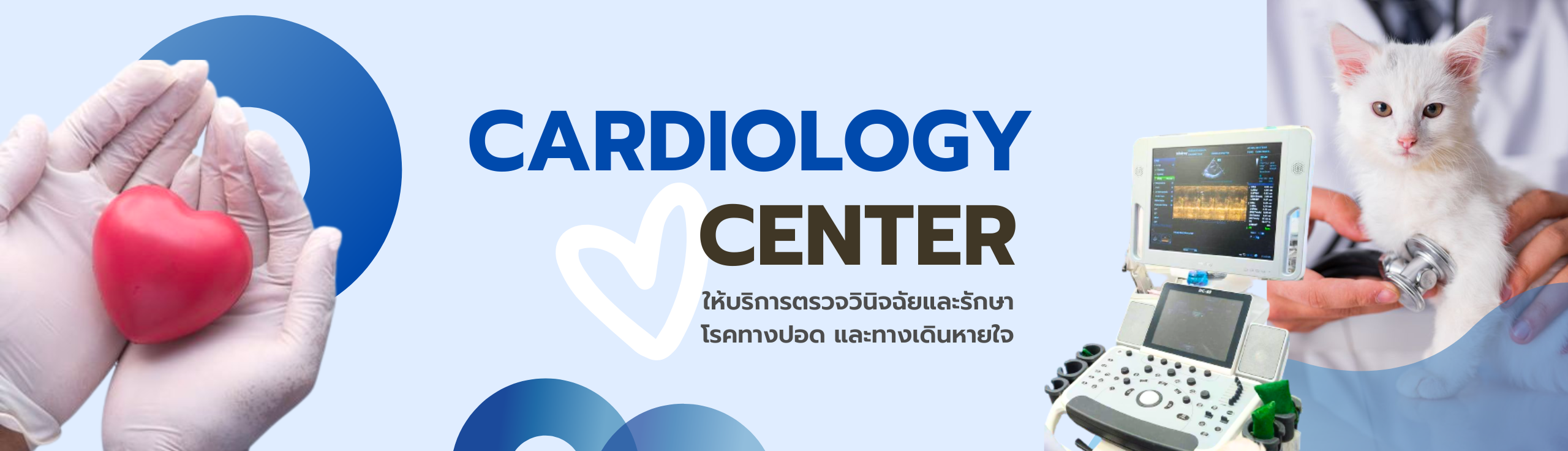 ศูนย์โรคระบบทางเดินหายใจและทรวงอก ศูนย์โรคระบบทางเดินหายใจและทรวงอก