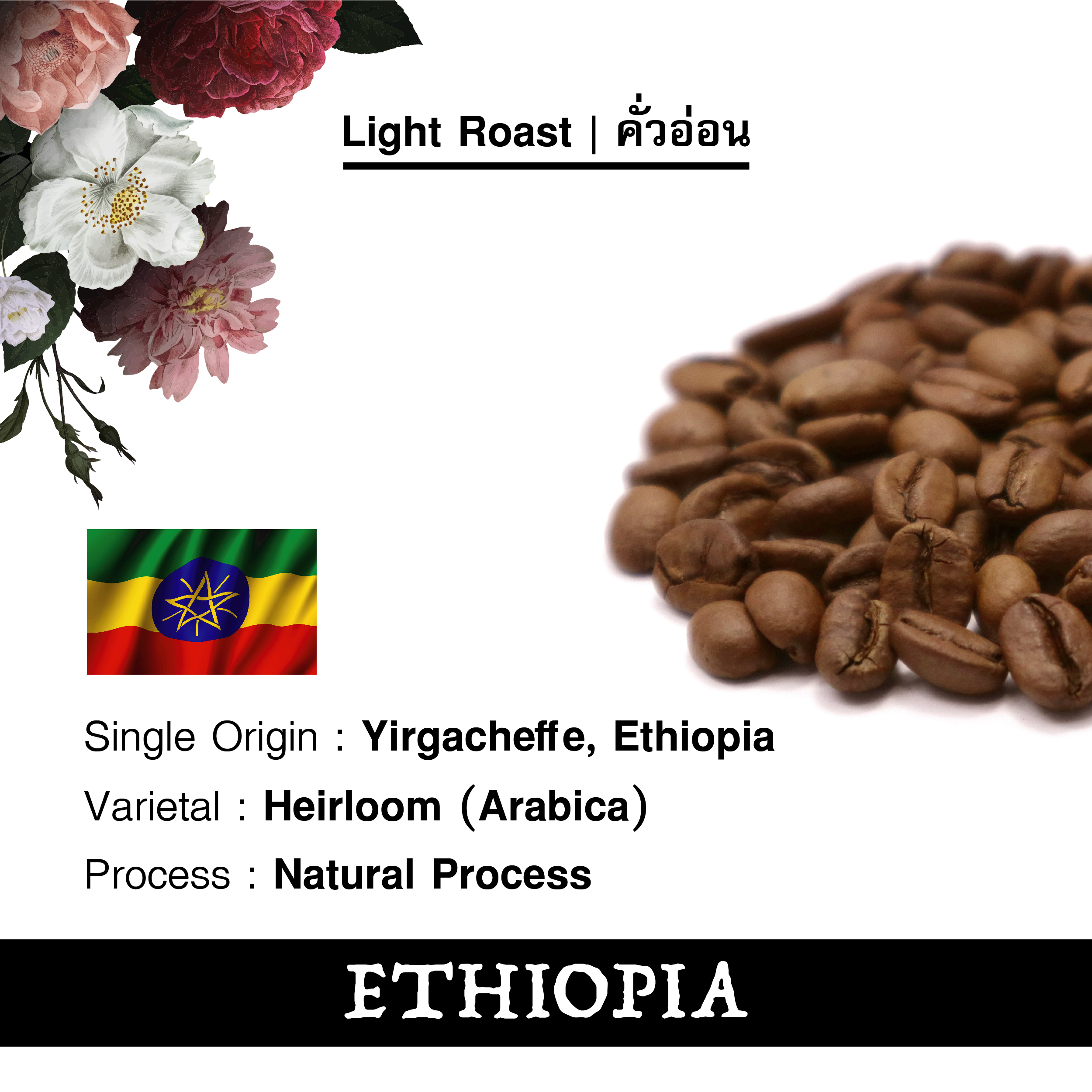 เมล็ดกาแฟเอธิโอเปีย | Ethiopia Coffee - Siamroastery