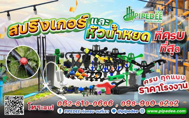 สินค้าการเกษตร สินค้าการเกษตร