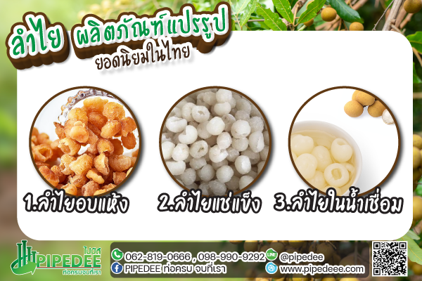 ลำไยแปรรูป ลำไยแปรรูป