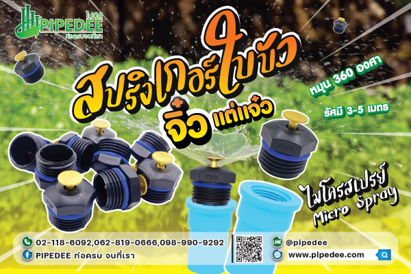 สปริงเกอร์ใบบัว สปริงเกอร์ใบบัว