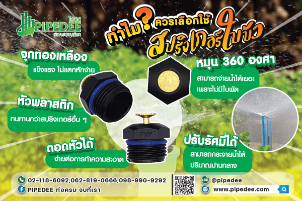 สปริงเกอร์ใบบัว สปริงเกอร์ใบบัว