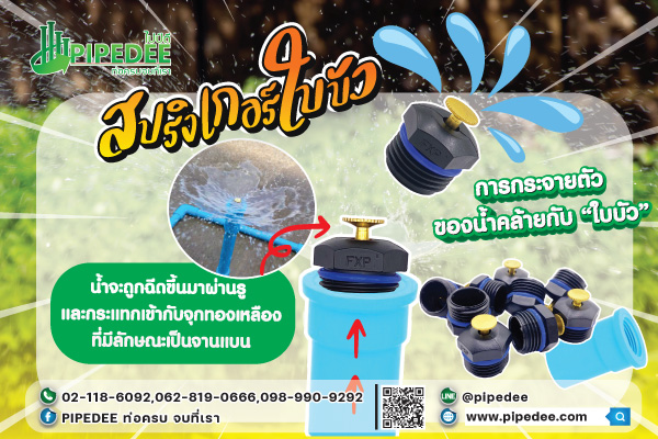 สปริงเกอร์ใบบัว สปริงเกอร์ใบบัว