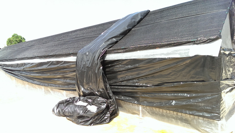 พลาสติก LDPE สีดำ คลุมโรงเรือนปลูกเห็ดขนาดใหญ่