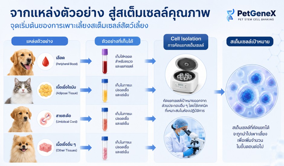 หลักการเก็บสเต็มเซลล์สัตว์เลี้ยง
