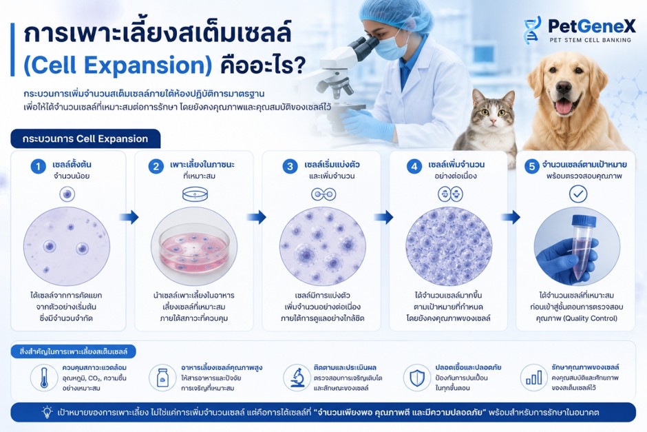 Cell Expansion คืออะไร