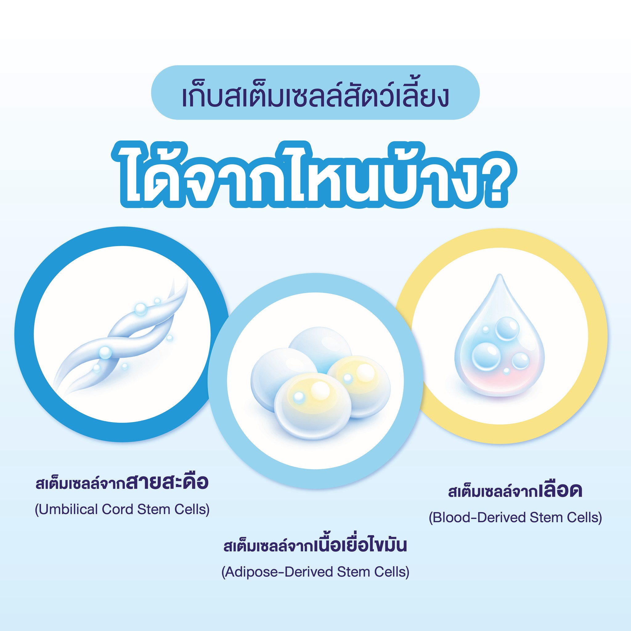 เก็บสเต็มเซลล์จากไหนได้บ้าง?