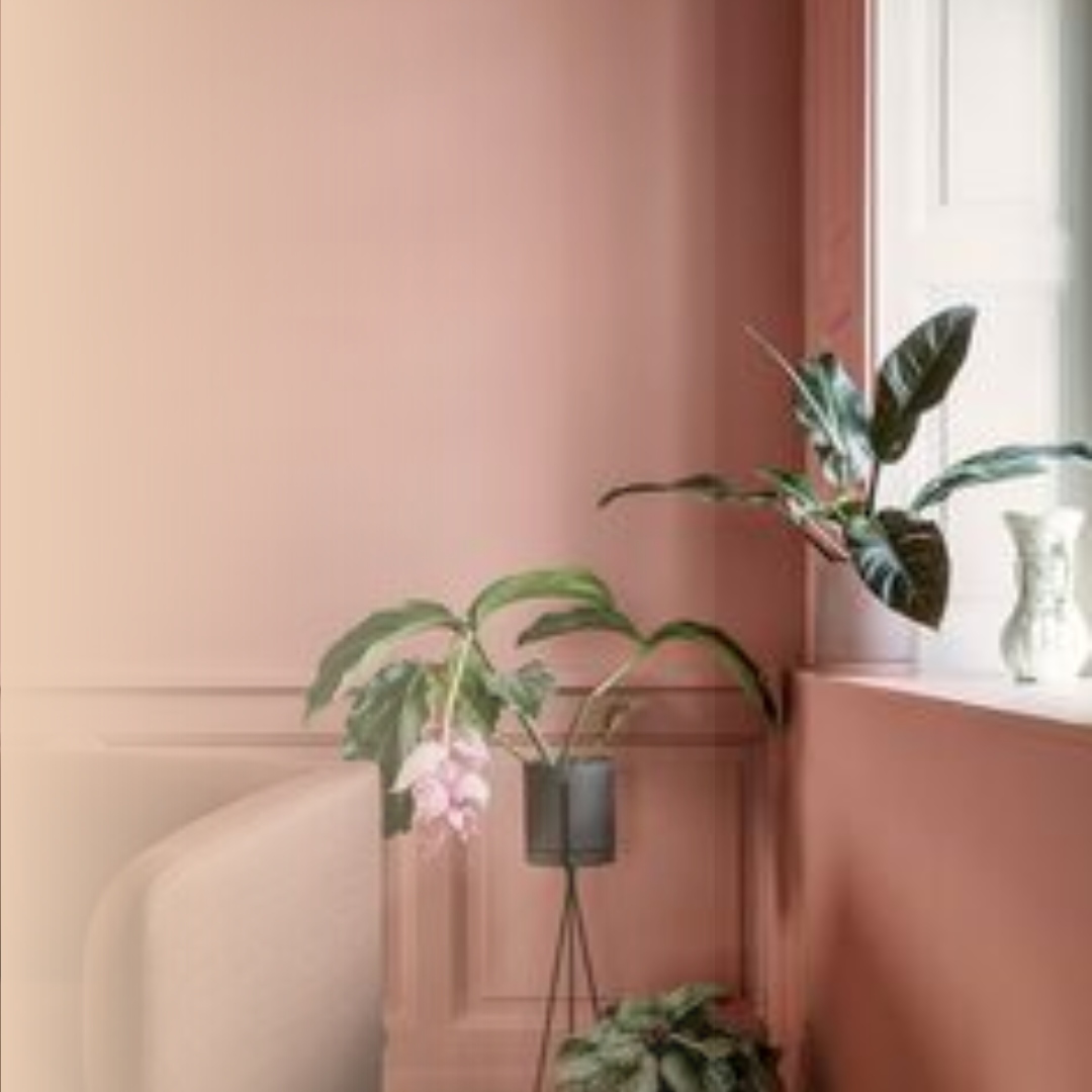 Warna Dusty Itu Apasih Ternyata Warna Dusty Itu Ini Ga Nyangka Banget warna-dusty-itu-apasih-ternyata-warna-dusty-itu-ini-ga-nyangka-banget