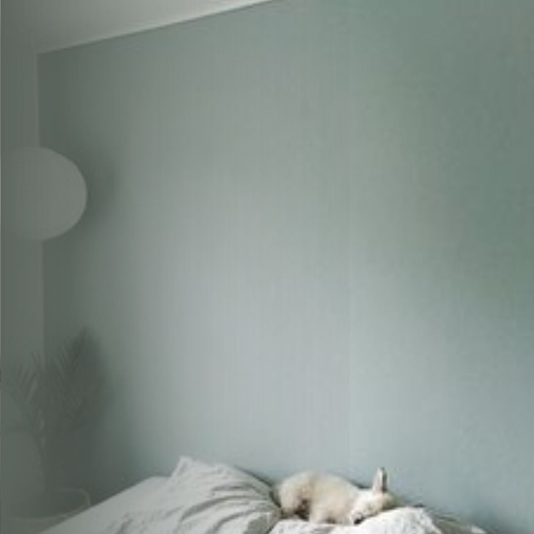 Warna Dusty Itu Apasih Ternyata Warna Dusty Itu Ini Ga Nyangka Banget warna-dusty-itu-apasih-ternyata-warna-dusty-itu-ini-ga-nyangka-banget