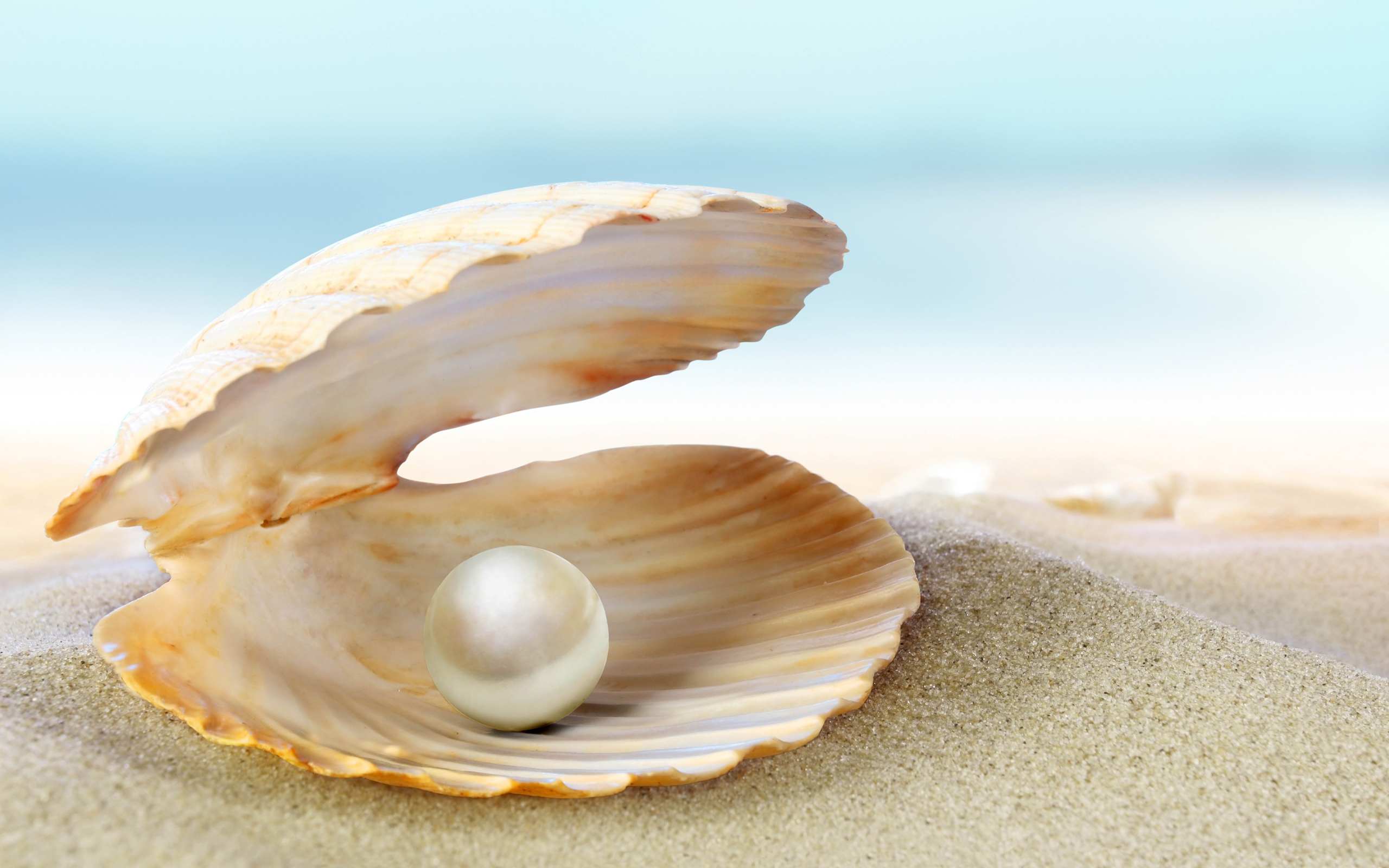 เคล็ดลับผิวขาว ด้วยอัญมณีอันล้ำค่าจากท้องทะเลด้วยสารสกัดจากไข่มุก (Pearl Extract)