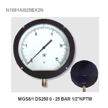 MGS8 DN250 0-25 Bar 1/2" NPTM