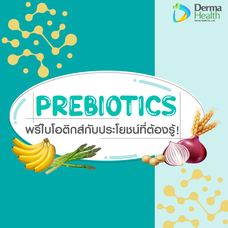 Prebiotics คุณประโยชน์ดีๆ ที่มีต่อลำไส้