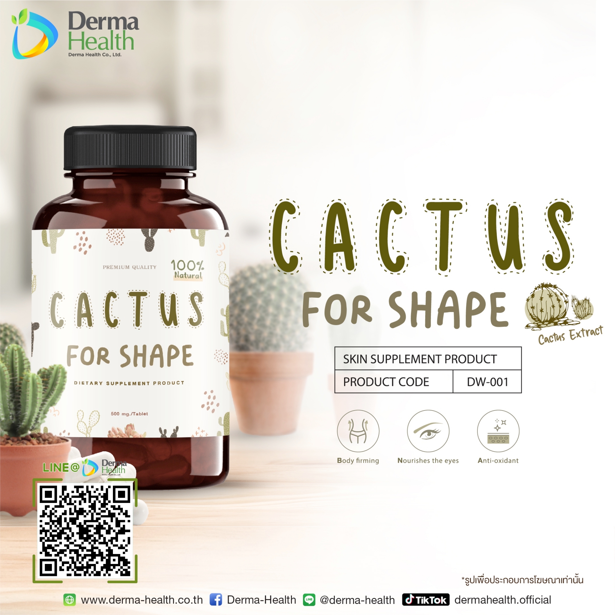 Cactus For Shape