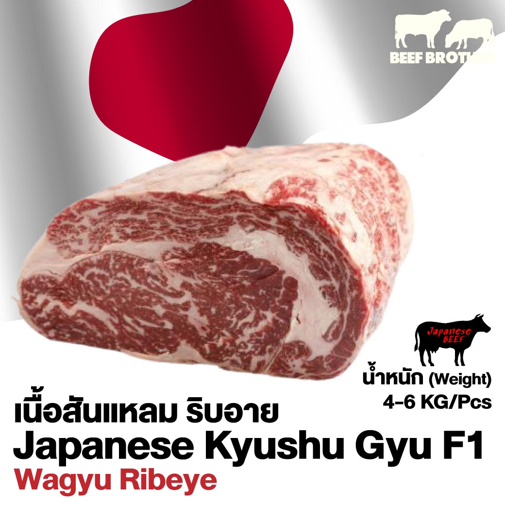 เนื้อสันแหลมคิวชูกิว (Japanese Kyushu Gyu Ribeye F1)