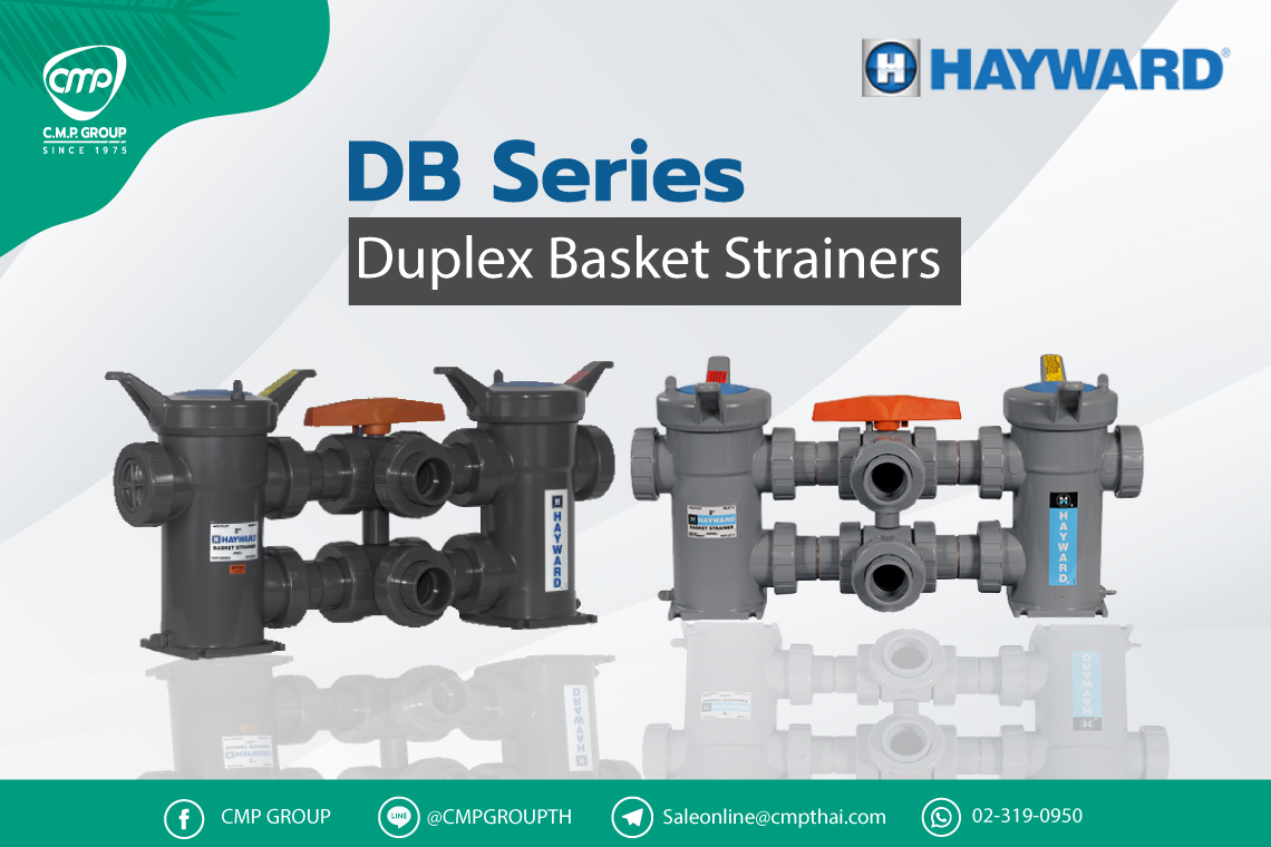 DB Series Duplex Basket Strainers