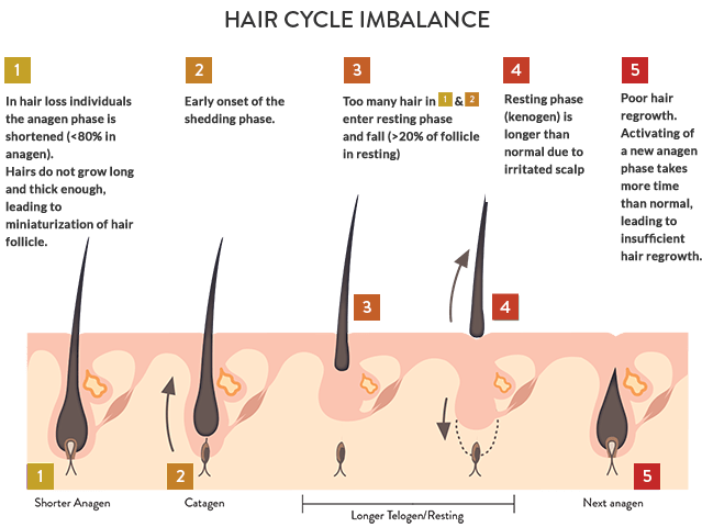Triple Hair Program by De Med Clinic 