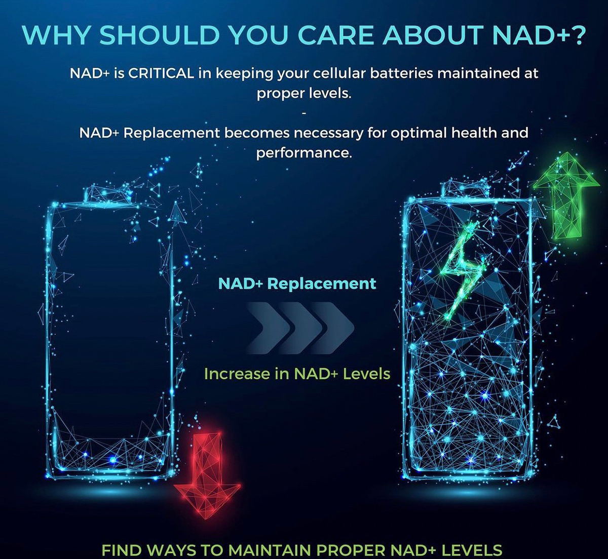NAD+ IV Therapy คืออะไร ช่วยดูแลสุขภาพได้อย่างไร?